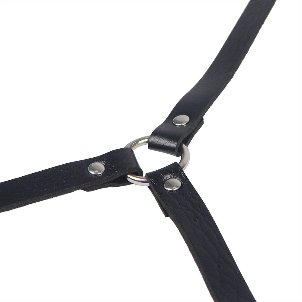 SERAPHINE | HARNESS