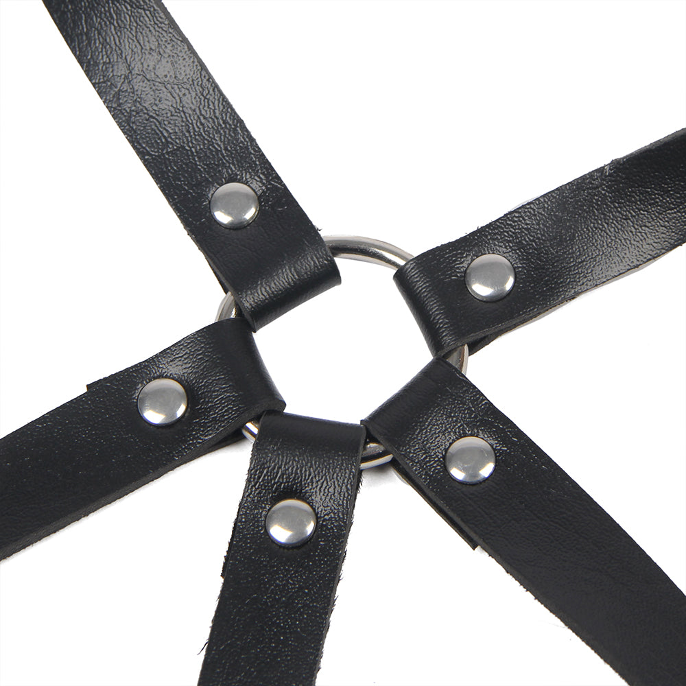 CLARINE | HARNESS
